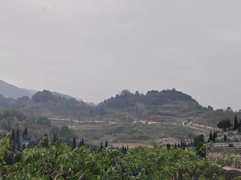 重庆市陵园哪里好