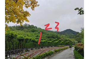 陵园概况