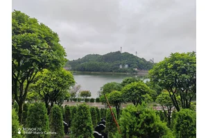 **探索重庆市陵园网的便利与服务**