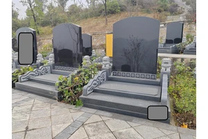重庆市陵园墓型情况
