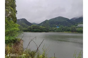 重庆市区有哪些陵园