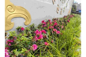 草坪墓是新式安葬方式