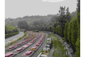 花葬的注意事项